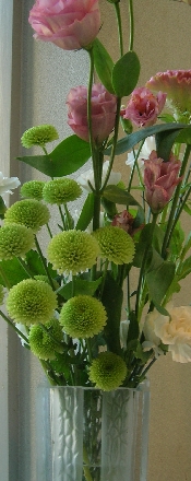 中野坂上の中村歯科の写真